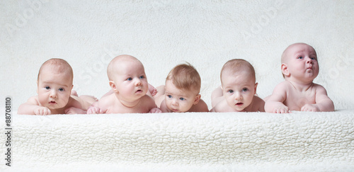 Fotomural cute babies on light background