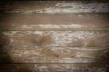 wood planks / background