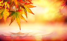 Autumn Spa Background With Red Leaves On Water