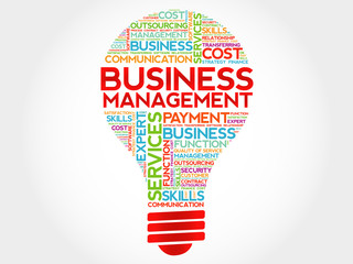 Business Management bulb word cloud, business concept