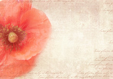 Grungy Retro Background With Poppy Flowers. A Vintage Styled Collage With Poppy Flowers, Faded Handwriting On Shabby Old Paper.  Postcard Template.