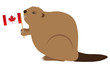 Canadian Beaver Color Vector Illustration