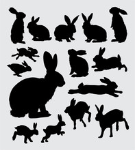 Rabbit Action Silhouettes
