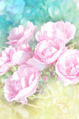 Wall Mural - Abstract artistic background with beautiful pink roses