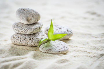 Poster -  zen  stones and bamboo on the sand