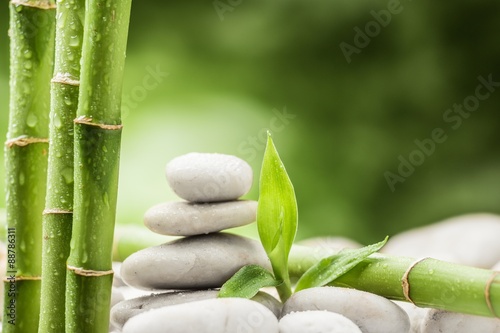 koncepcja-spa-z-zen-kamieni-bazaltowych-i-bambusa