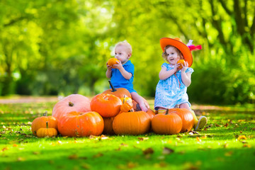 kids at halloween pumpkin patch