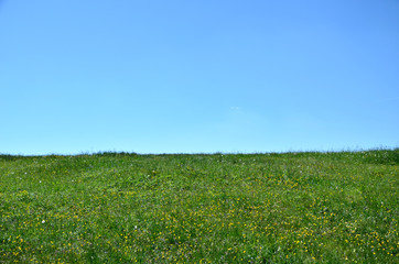 Horizon of meadow and sky