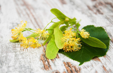 Wall Mural - Linden flowers