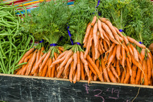 Orange Fresh Dug Carrots At The Market
