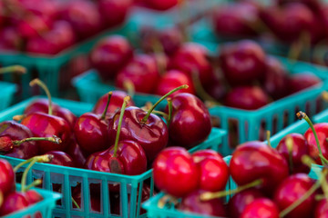 fresh cherries