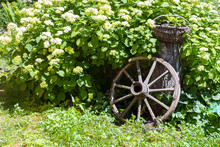 Old Wagon Wheel Garden Decoration
