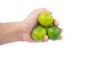 Hand holding green lime on white background