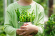 Cute child holds in hand a bucket with picked fresh green peas in nature background