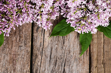  The flower lilac a wooden background