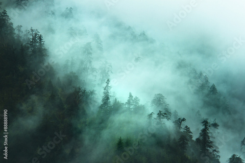 Fotografía misty forest landscape in the mountains