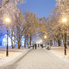 Wall Mural - Footpath in a fabulous winter city park