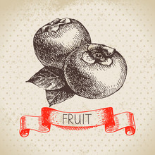 Hand Drawn Sketch Fruit Persimmon. Eco Food Background