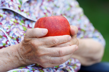 Canvas Print - Red apple