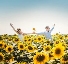 Happy Young Newly Married Couple In The Field Of Sunflowers