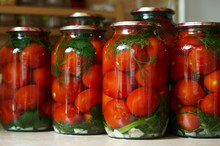 Pickled Tomatoes 