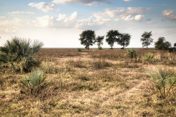 View over the savanna in the National Park Gorongosa in the center of Mozambique
