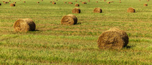 Haystack, Hay, Background, Rural, Field, Farm, Summer, Wheat, Agriculture