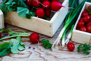 Wall Mural - vegetables