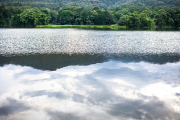 Spring forest is reflected in the river