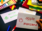Fototapeta  - Learning New Language Making Original Flash Cards; Spanish