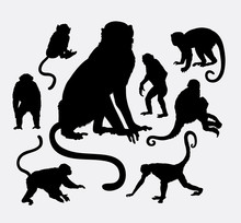 Monkey And Ape Animal Silhouettes