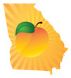 Georgia State with Peach Color Vector Illustration