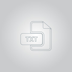 Poster - TXT text file extension icon.