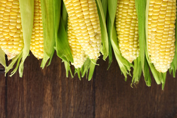 Poster - Fresh corn on cobs on wooden background