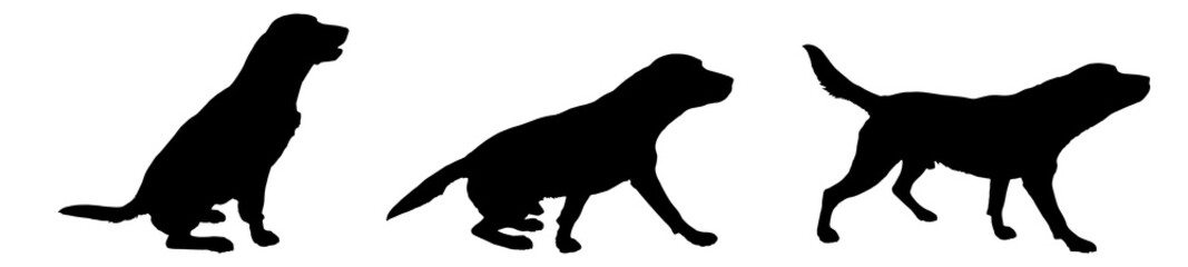 Canvas Print - Vector silhouette of a dog.