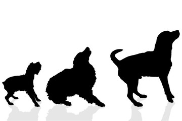 Sticker - Vector silhouette of a dog.