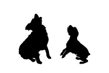 Sticker - Vector silhouette of a dog.