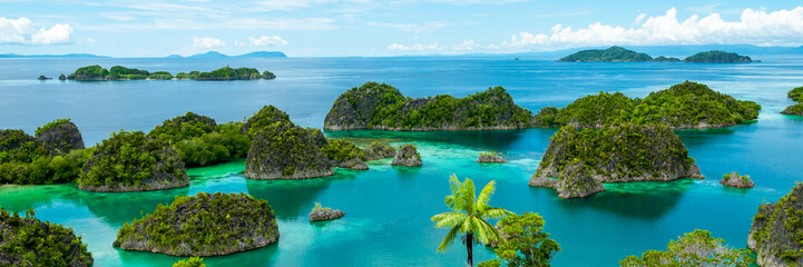 Fam Island in Raja Ampat