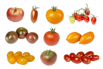 Wall Mural - A collage of different varieties of tomatoes on a white background isolated