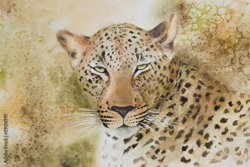 Fototapeta na wymiar Original watercolour, portrait of a leopard.