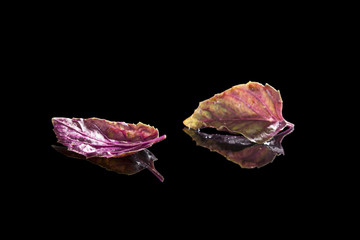 Wall Mural - Purple basil isolated on black background.