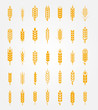 Vector wheat ears icons set