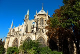 Fototapeta Paryż - Notre Dame, Paris