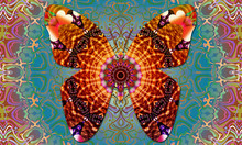 Fantasy Butterfly