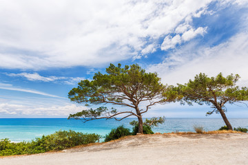 Wall Mural - Coast of the sea in Turkey