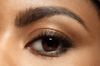 © deniskomarov - Close-up of make-up eye with long eyelashes and brown eyebrows of black woman