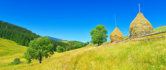 Haystacks in summer countryside