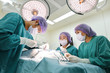 © nimon_t - group of veterinarian surgery in operation room