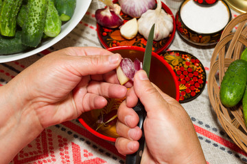 Pickling cucumbers, pickling - hands close-up, cucumber, herbs,