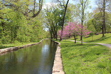 City Park Canal And Walkway 